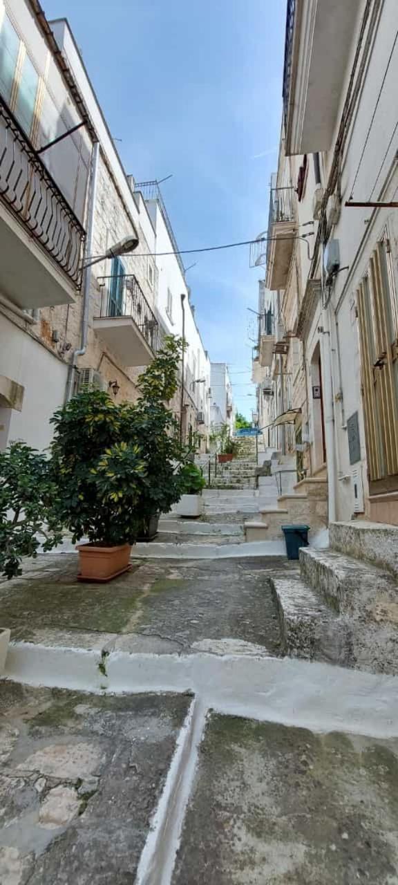 Vico Anglani Guest House Ostuni Εξωτερικό φωτογραφία